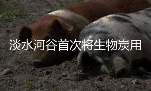 淡水河谷首次将生物炭用于球团矿生产,技术储备有多少?