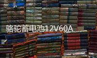 骆驼蓄电池12V60AH适用于全球鹰哈佛H6皇冠锐志奇瑞55D26汽车电瓶